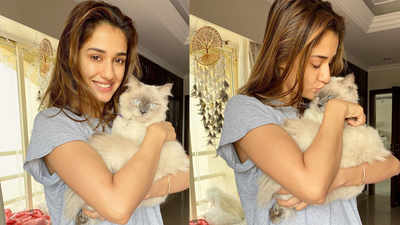 Disha Patani cuddles with Keety, shares adorable pictures