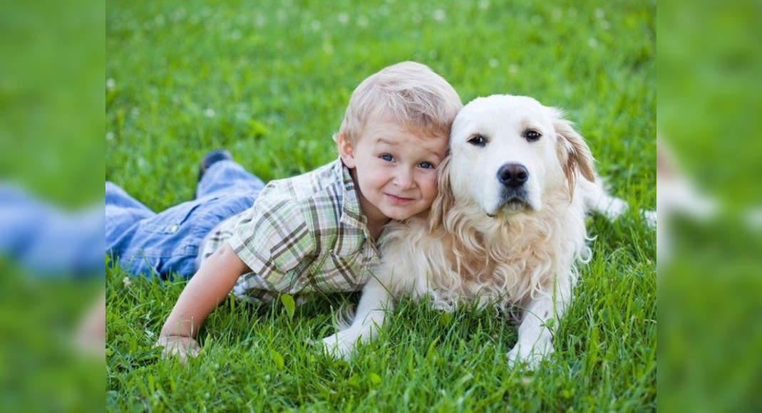 Some of the best pets for kids you can get - Misskyra.com