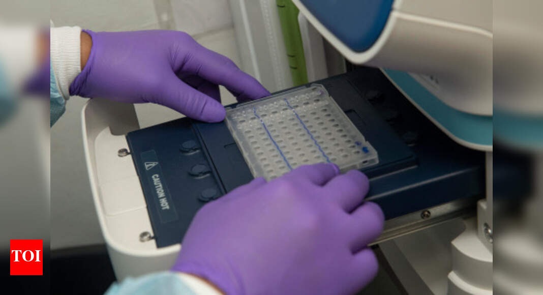 20L &lsquo;made in India&rsquo; test kits per month from May