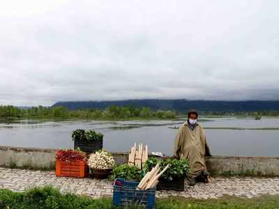 J&K administration asks Srinagar residents to start kitchen garden for essentials