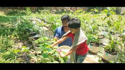 This kitchen garden challenge is an instant hit | Kochi News - Times of ...