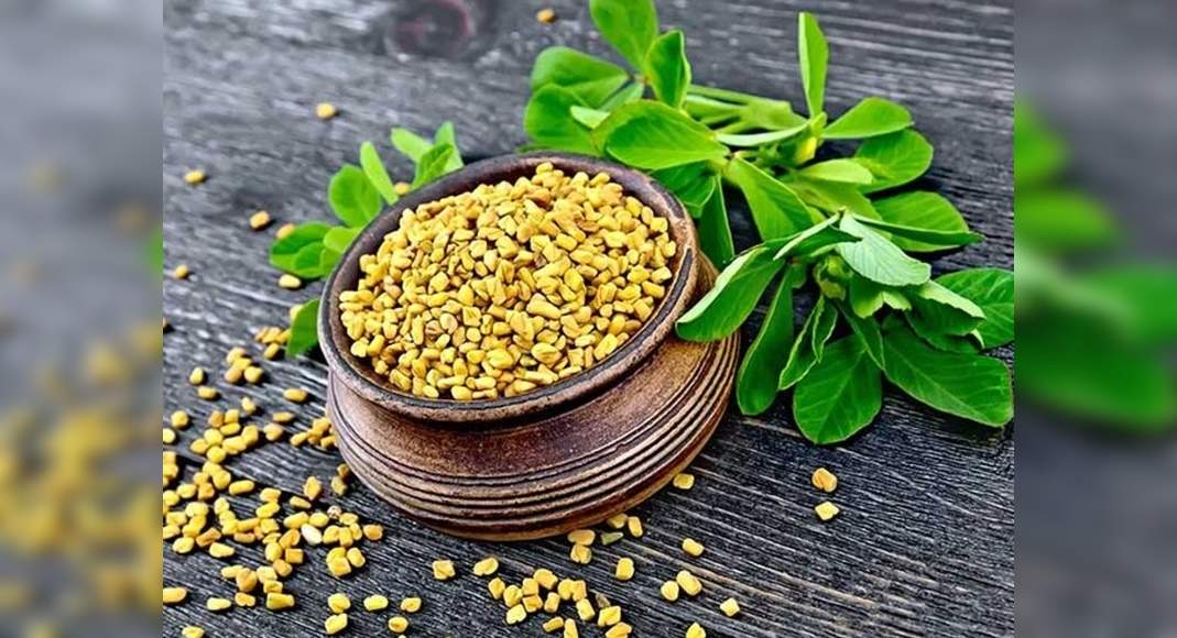 Fenugreek for Diabetes Consuming this spice can lower