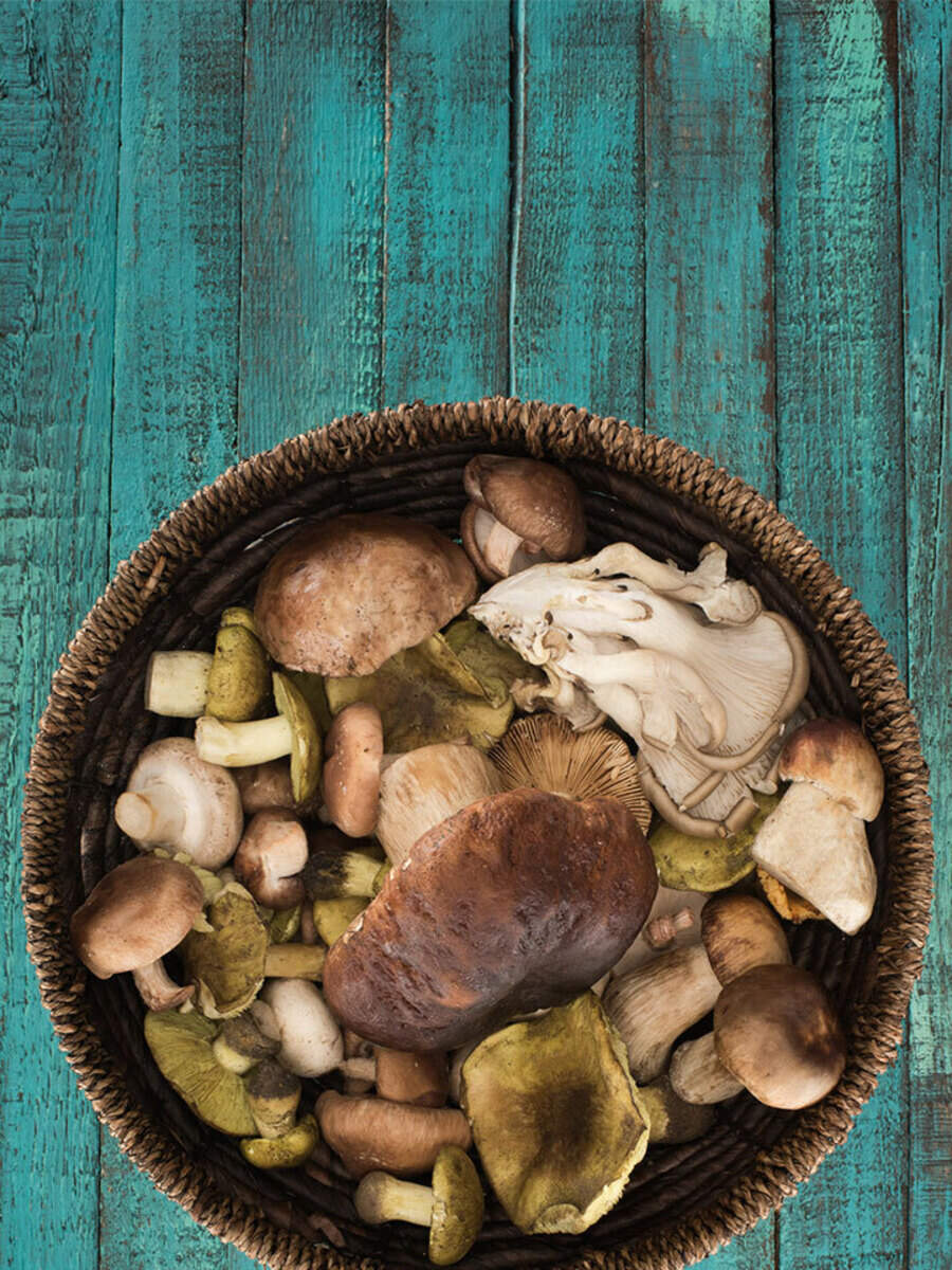 Types Of Mushrooms And Their Uses | Times of India