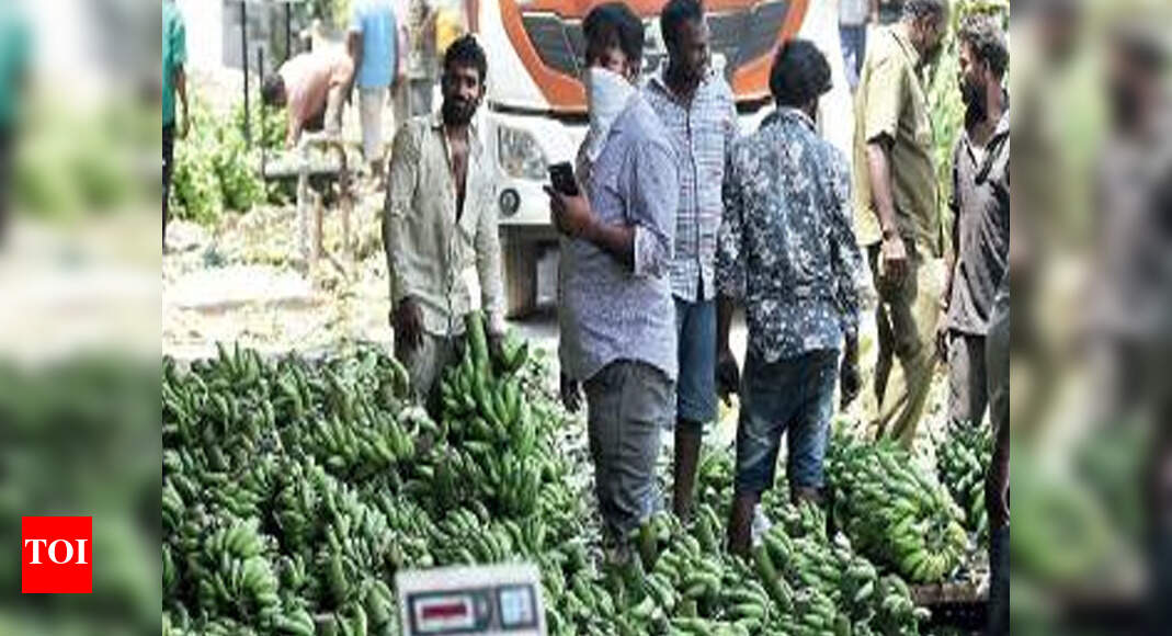 Food processing units offer lifeline to reeling farmers Bengaluru