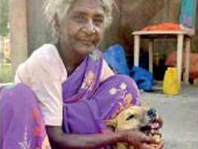 80-year-old lady feeds stray dogs at Kondagattu temple | Hyderabad News - Times of India 80-year-old lady feeds stray dogs at Kondagattu temple | Hyderabad News - Times of India
