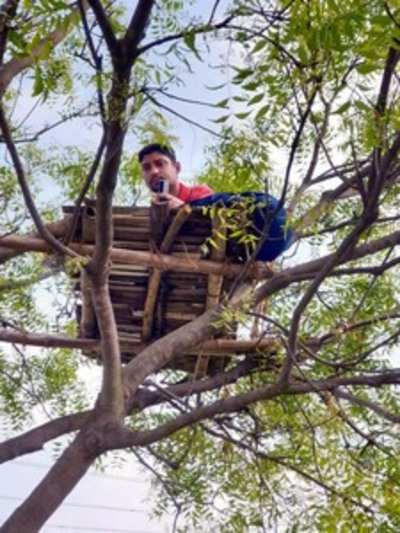 Teacher climbs tree to cross internet hurdle to teach students during lockdown