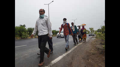 Covid-19 lockdown: Seven workers trek home from Jhansi, walk 500km