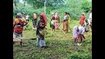 Tamil Nadu: Jobs under MGNREGA back, but with riders