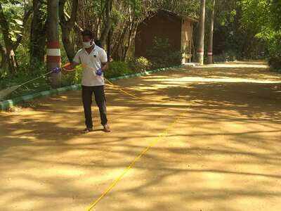 UP zoos take steps to protect animals in corona times | India News - Times of India UP zoos take steps to protect animals in corona times | India News - Times of India