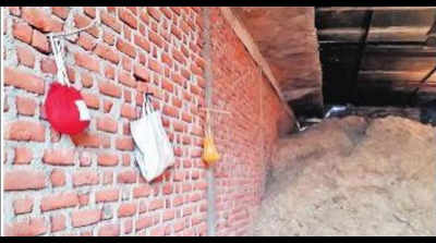 Lockdown blues: Mortal remains wait for immersion in Madhya Pradesh
