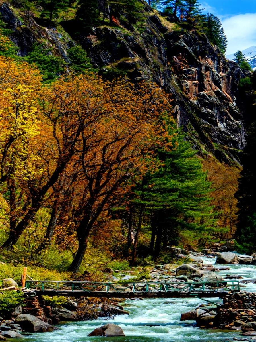 10 reasons that make Kashmir Paradise on Earth | Times of India