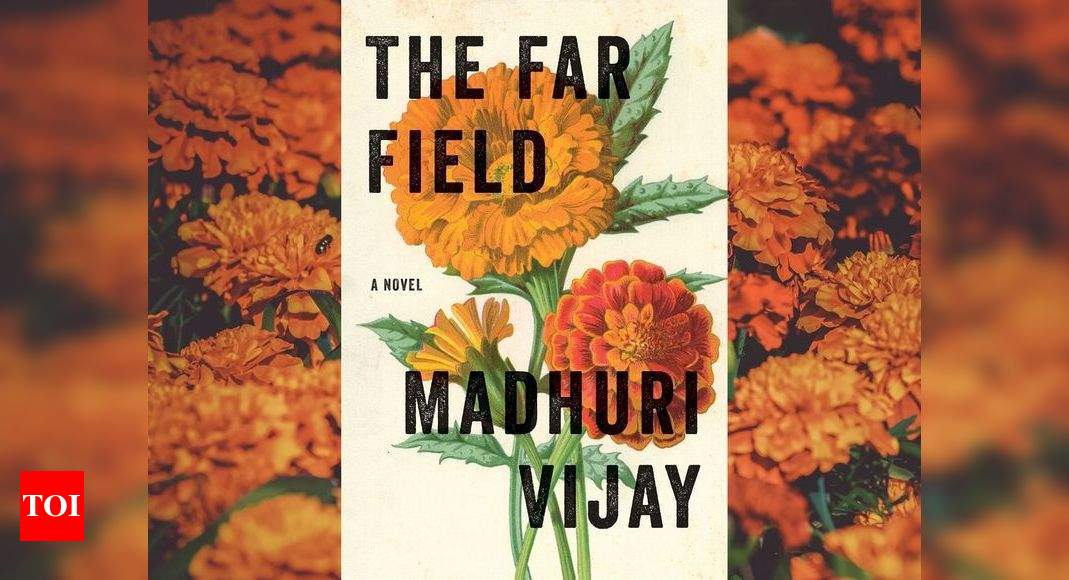 Micro review The Far Field by Madhuri Vijay Times of India