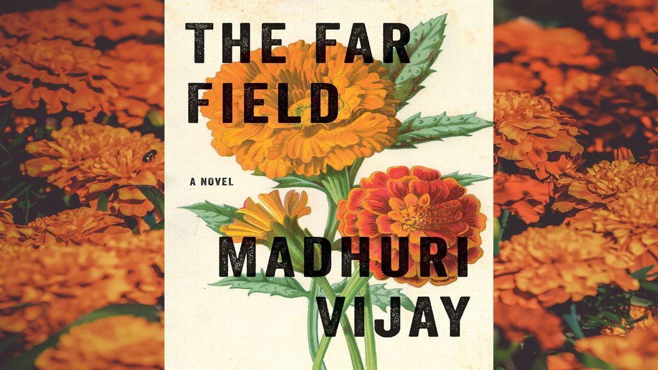 Micro review The Far Field by Madhuri Vijay Times of India