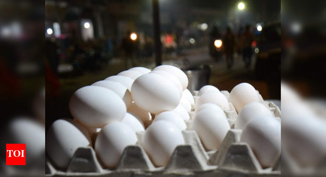 Poultry farmers in Bihar scared of bird flu menace | Patna News - Times ...