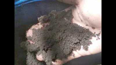 Goa: Learning to compost wet waste for sustainable lockdown living