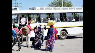 Buses to bring back 12,000 from Haryana in UP’s fleet-footed plan
