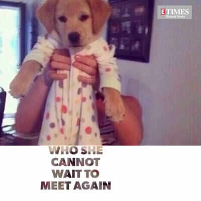 Ileana D’Cruze and her love for animals