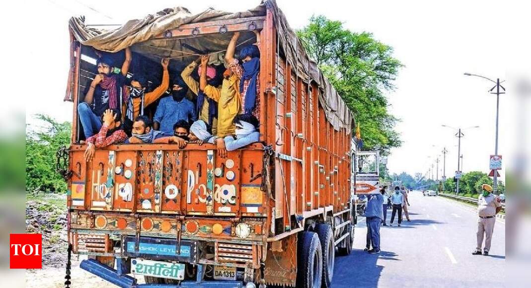 Scattered migrant evacuation plans turn into organised effort