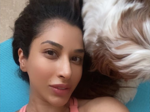 Ravishing pictures of singer & actress Sophie Choudry