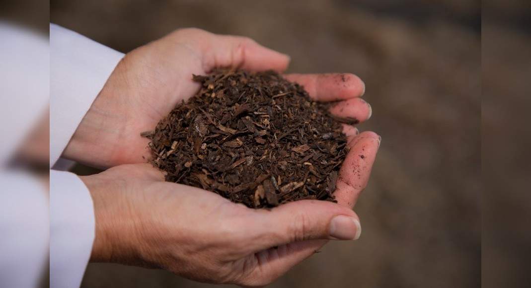 Seattle Will Soon Have The Worlds First Human Composting Facility Seattle Times Of India Travel 