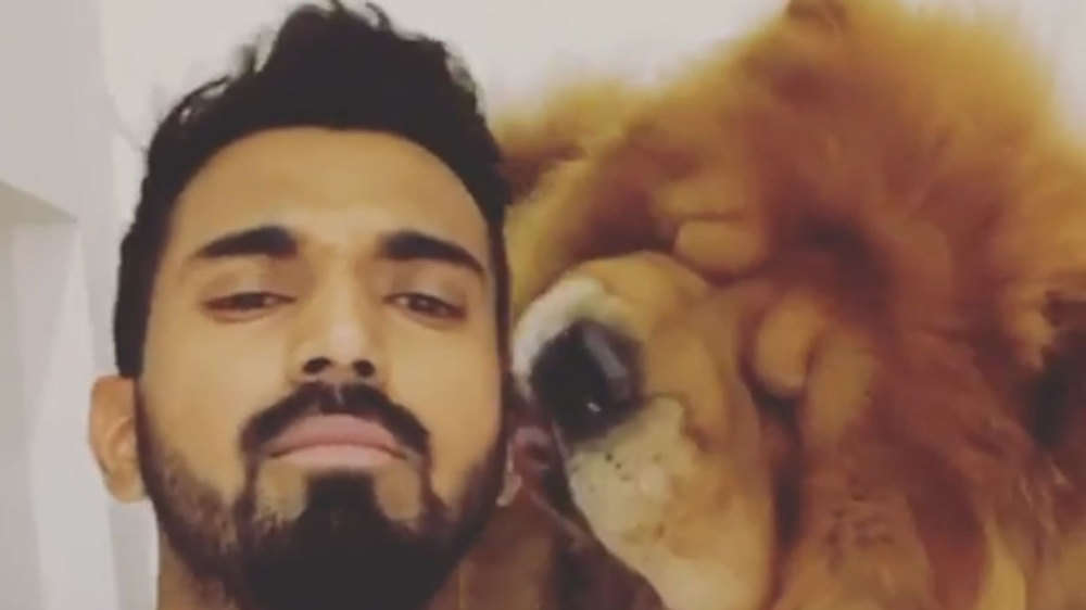 KL Rahul and 'Simba' the dog