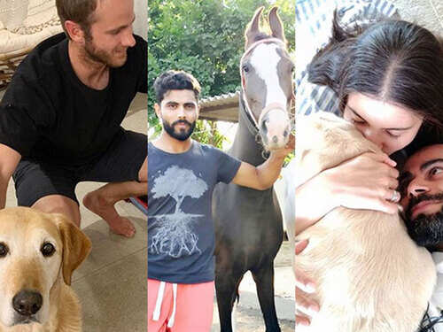 Cricketers and their adorable pets during lockdown