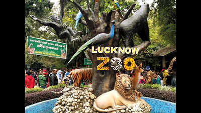 #Coronacrisis: Zoo authorities appeal to Lucknowites to adopt inmates