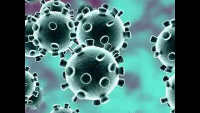 93% of coronavirus cases in past 10 days in Karnataka asymptomatic