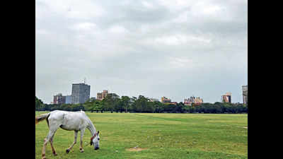 Lockdown, rain make Kolkata’s air cleanest in recorded history