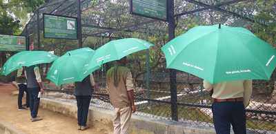 Bannerghatta Biological Park uses an innovative measure for social distancing