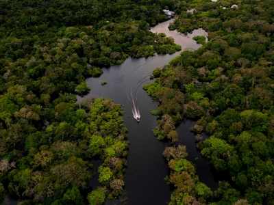 Brazil to deploy troops to protect Amazon as deforestation surges