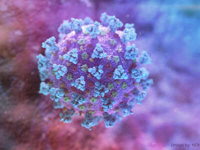 Covid-19 virus has intelligence much stronger than other viruses' | India News - Times of India Covid-19 virus has intelligence much stronger than other viruses' | India News - Times of India