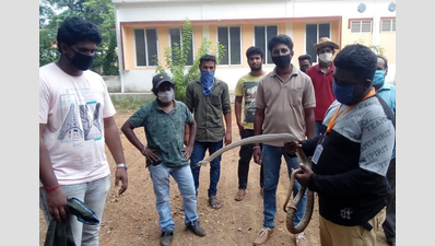 14 snakes caught from Thanjavur hospital premises