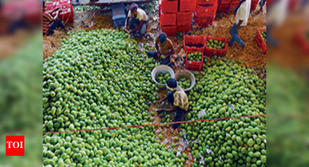 Relish this! Dakiya to deliver mangoes at your doorstep in Telangana