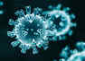 Coronavirus home isolation: What you need to know