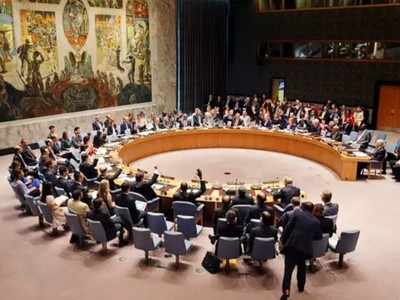 UNSC President Estonia calls Security Council's handling of coronavirus 'a shame'