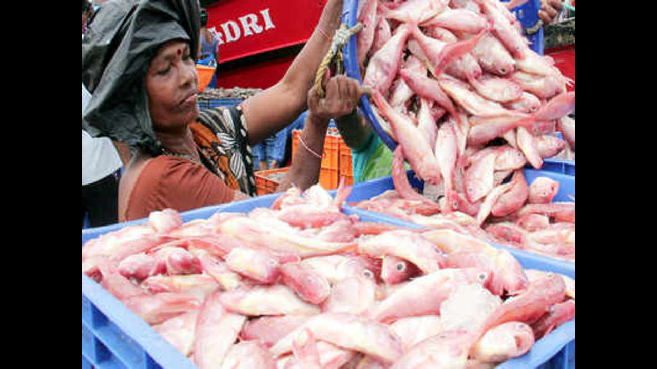 Lockdown in Tamil Nadu: Fishermen seek relaxation of stringent norms