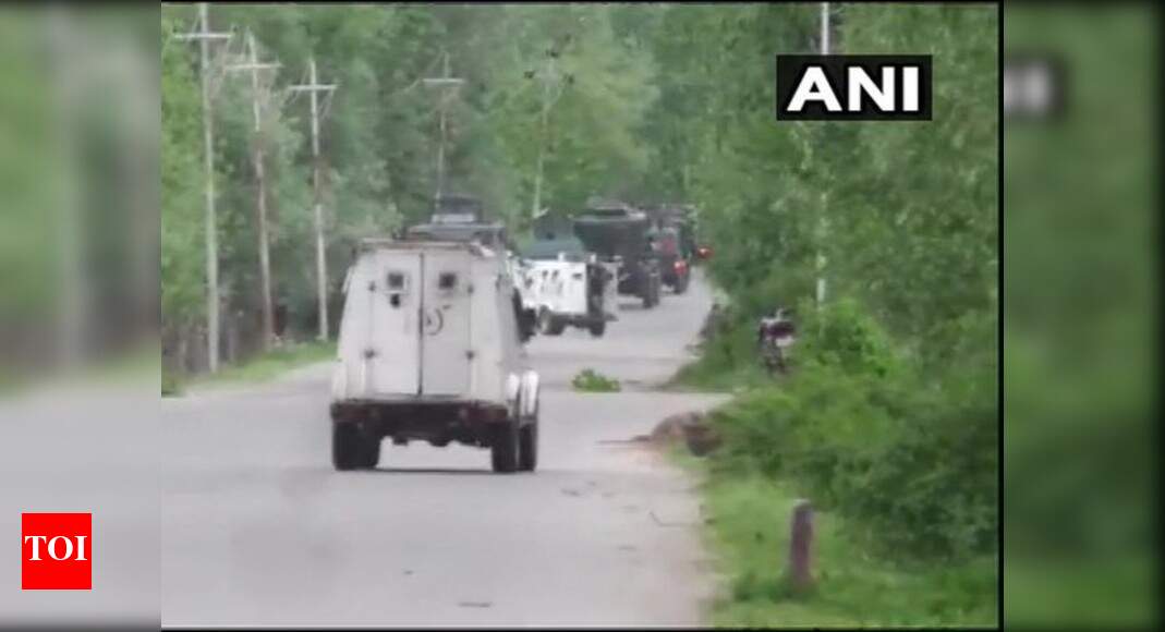 3 CRPF men, teenager killed in Handwara village