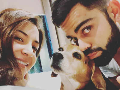 'RIP my Bruno': Virat Kohli mourns death of his pet dog, posts emotional message