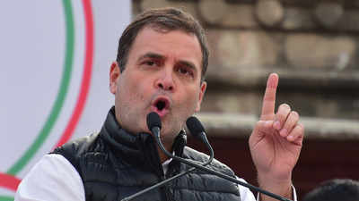 Indian economy has stopped, govt should de-centralise the system: Rahul Gandhi