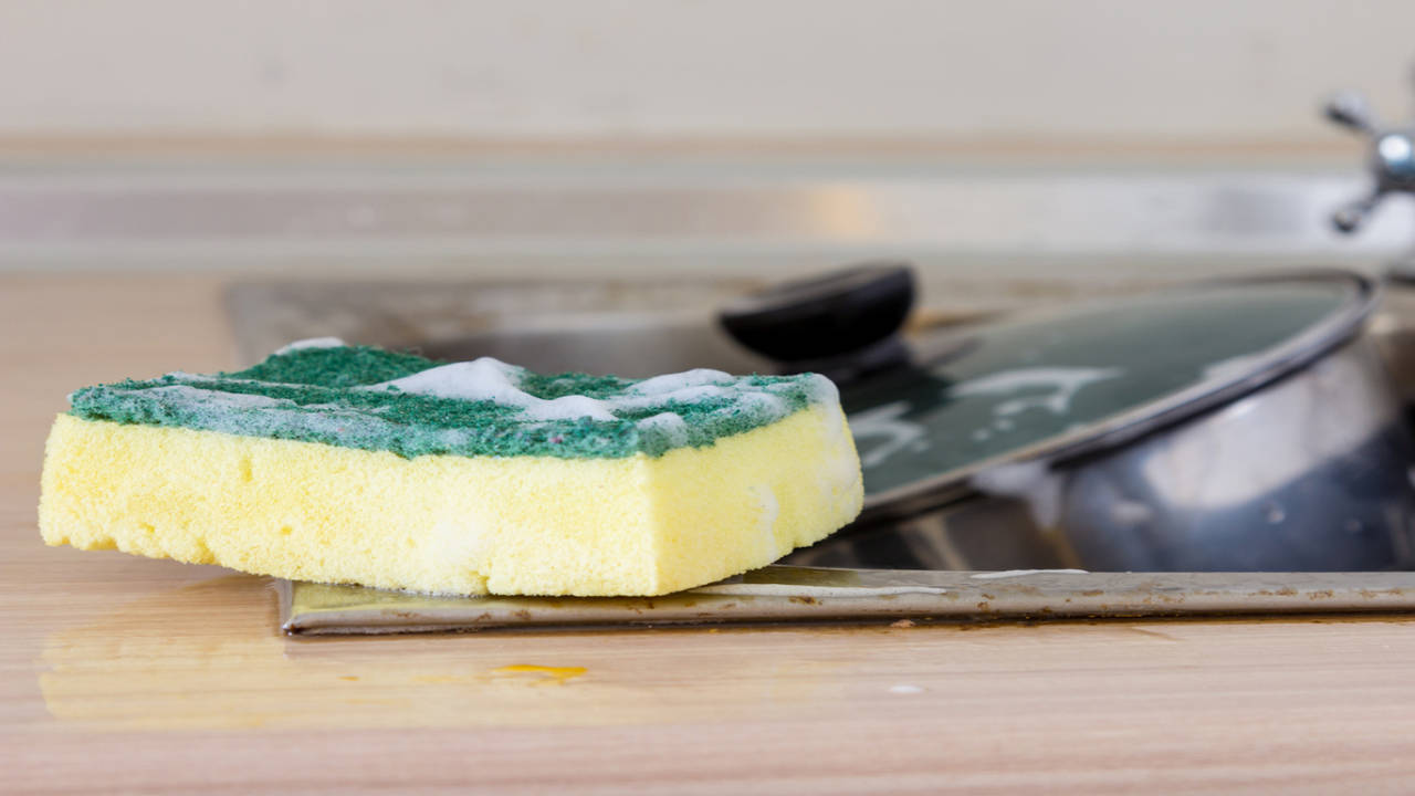 How often you should wash dish sponges and 9 of these other kitchen items -  National
