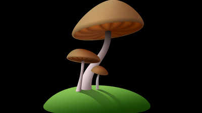 'Death Cap' mushrooms behind death of six in Meghalaya