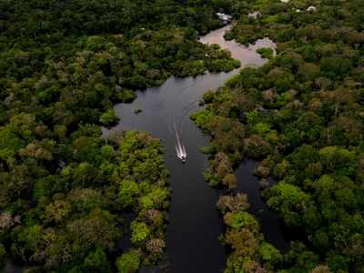 Deforestation in Brazil's Amazon rose sharply last month