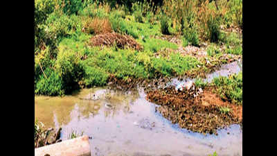 Telangana: Hopes rise for Trimulgherry lake rejuvenation