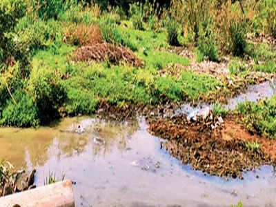 Telangana: Hopes rise for Trimulgherry lake rejuvenation | Hyderabad ...