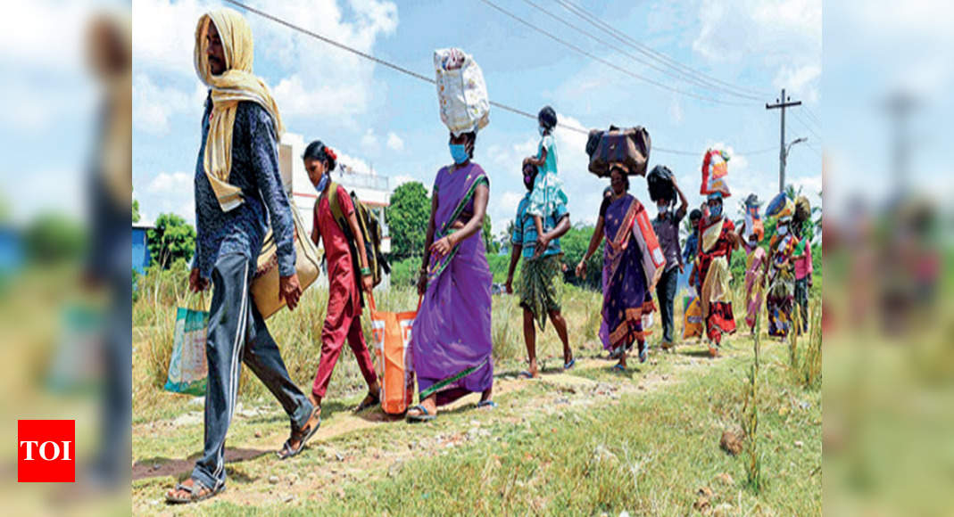 Guest Workers Walk Home Take Interior Roads To Avoid Cops Chennai News Times Of India 0338