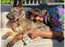 Pic: Priyanka cuddles up with Gino and Diana
