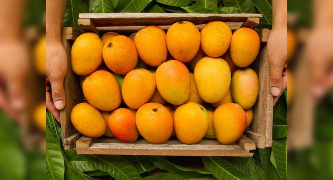 side-effects-of-mango-you-should-know-misskyra