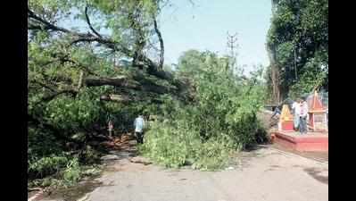 Storm disrupts power supply, damages crops