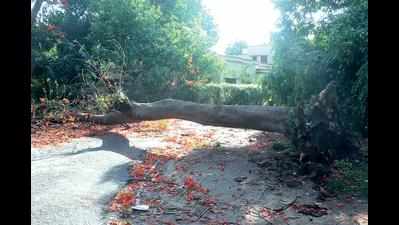 Storm disrupts power supply, damages crops